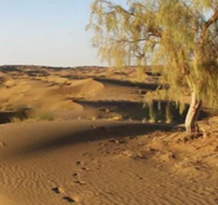 صحارى إيران