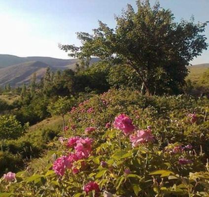 مجارشین، قرية تاريخية وجميلة في قلب جبال أذربيجان الشرقية