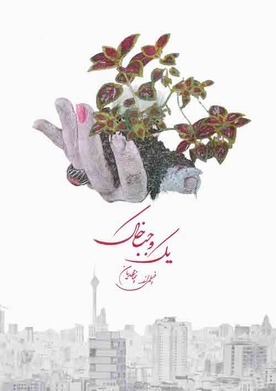 جزء من الأرض
