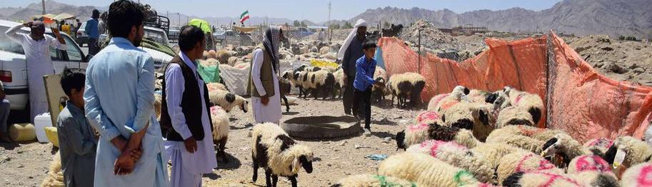 ليلة عيد الأضحى في قرية خورونده: وقت لتسبيح الله تعالى