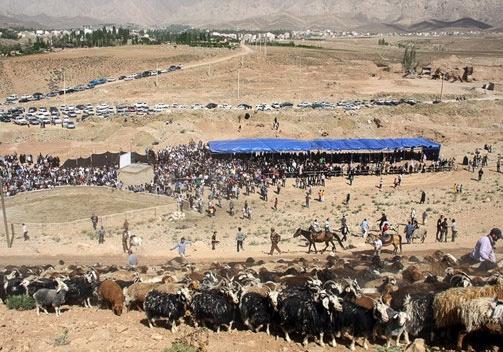 هجرة قبيلة سنکسري: الخدمات، الطقوس والتاريخ لأطول مسار هجرة بشري