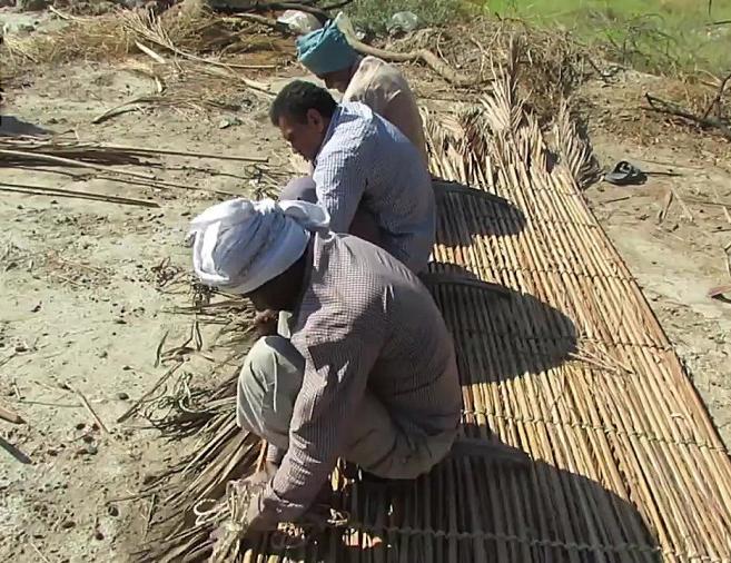 الترابط بين الفنّ والطبيعة في السُّوندُبافيّ.