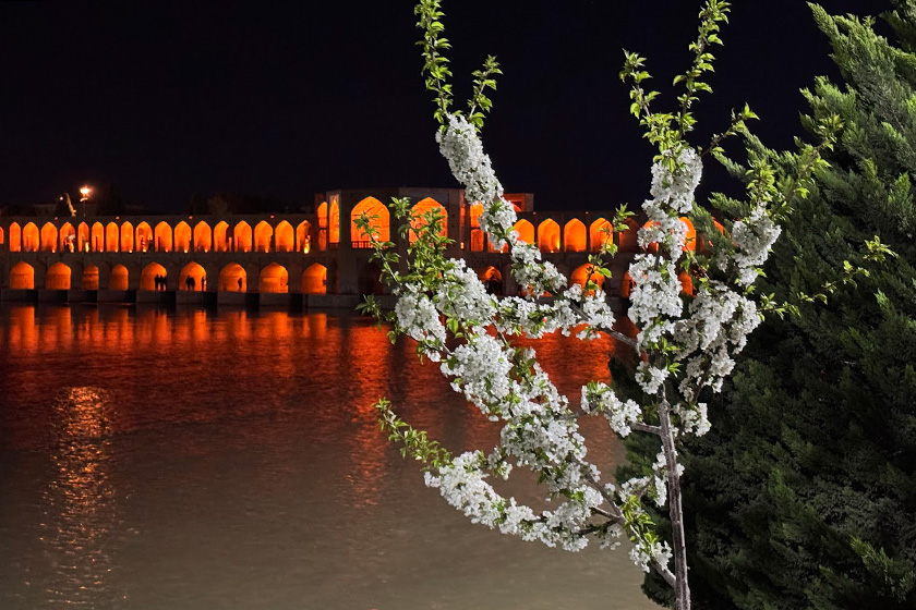 mahtab-shahin-680362f54665d01f52cb72cb_2