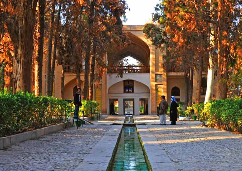 معرفی-کلی-باغ-فین_itto-3_2