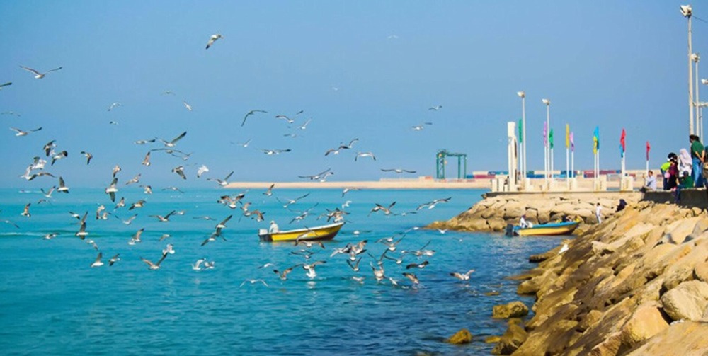عمارة بوشهر والمنطق الخفي في الظلال والنسائم