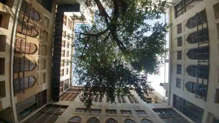 Google-Maps-عمارت-دهدشتی-بوشهر-5-copy_1